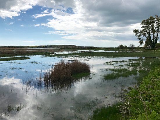 Stanpit Marsh