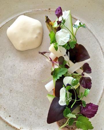 Restaurant Roots ltd