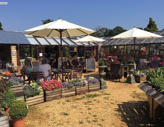Rosie Lea Kitchen at Setley Ridge