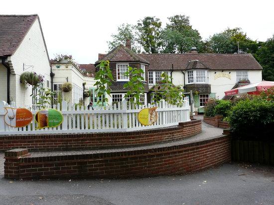 The Old Castle Harvester