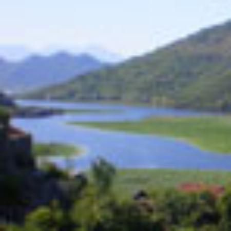 Harnham Fish Bar & Curry Land