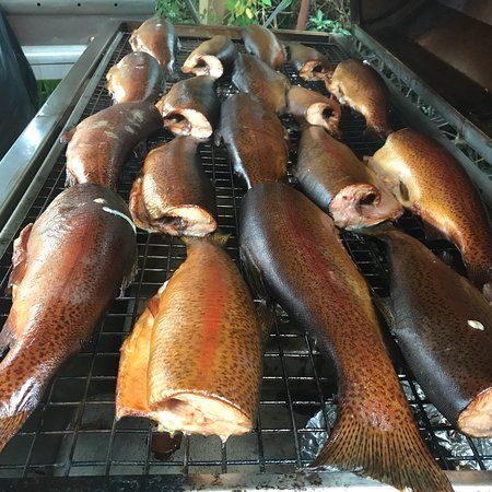 Holbury Lakes Trout Fishery