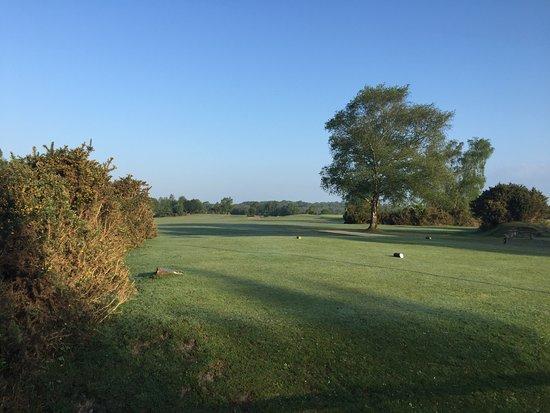 New Forest Golf Club