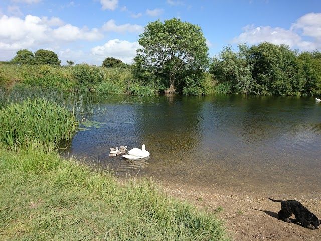 Stour Valley Nature Reserve