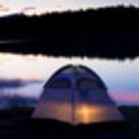 Penn Court Cafe and Bistro